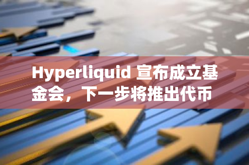 Hyperliquid 宣布成立基金會，下一步將推出代幣 HYPE